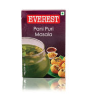 Everest Pani Puri Masala 50 G