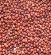 Ragi 1 KG