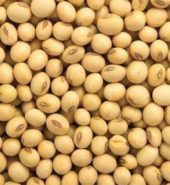 Soyabean 500 G